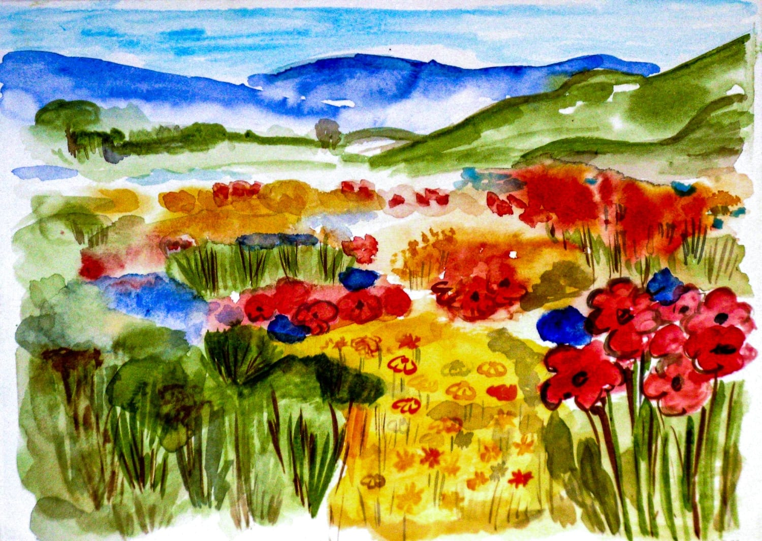 380501 Blumenwiese * Flowery Meadow
