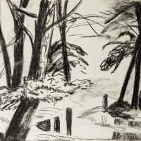 Forest Stream 2