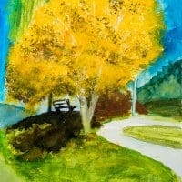 540401  Herbstbaum * Fall Tree