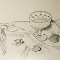 540201  Muscheln Stillleben * Shells Still Life